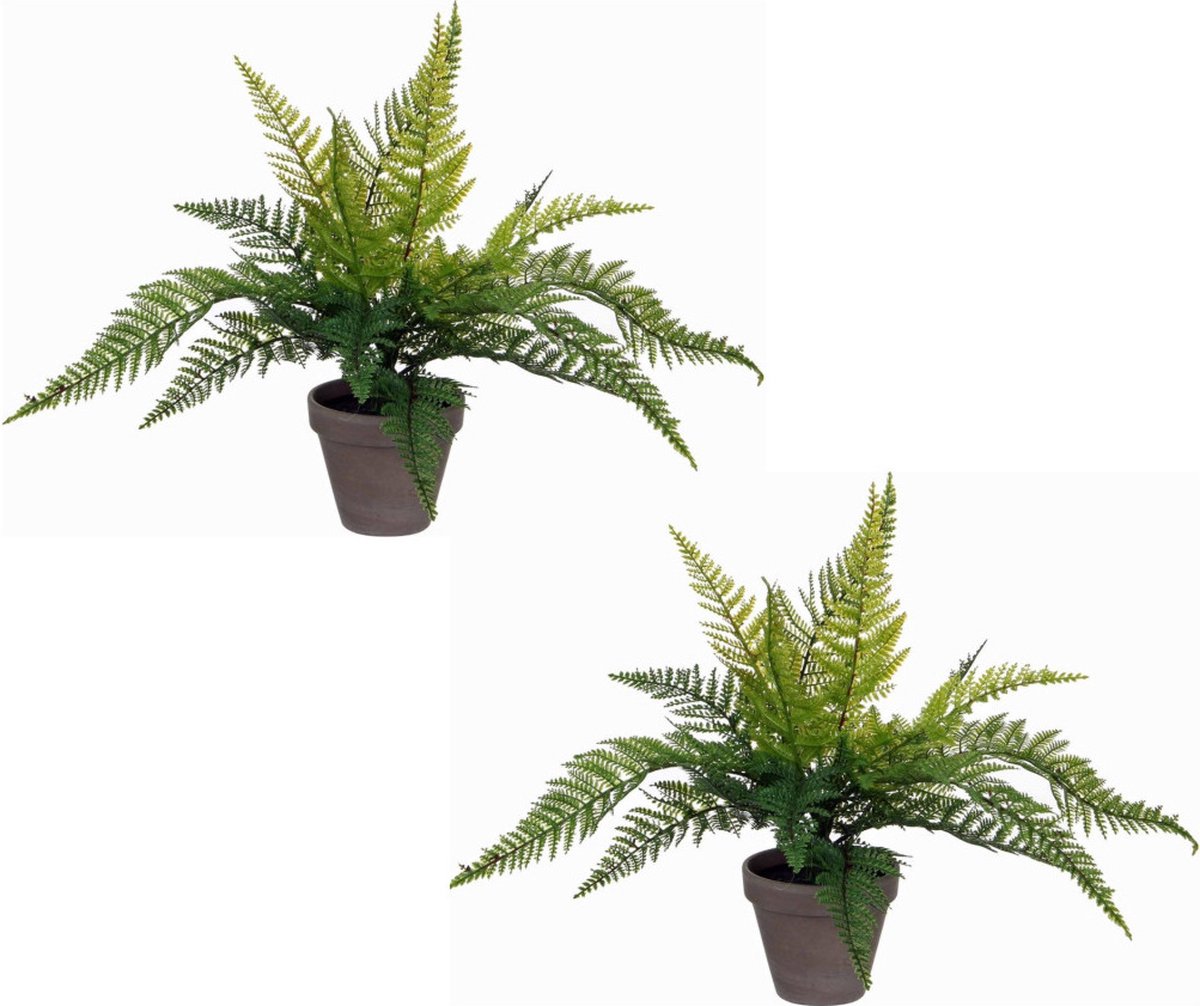 Mica Decorations Kunstplant - 2x stuks - varen - groen - 36 x 40 cm