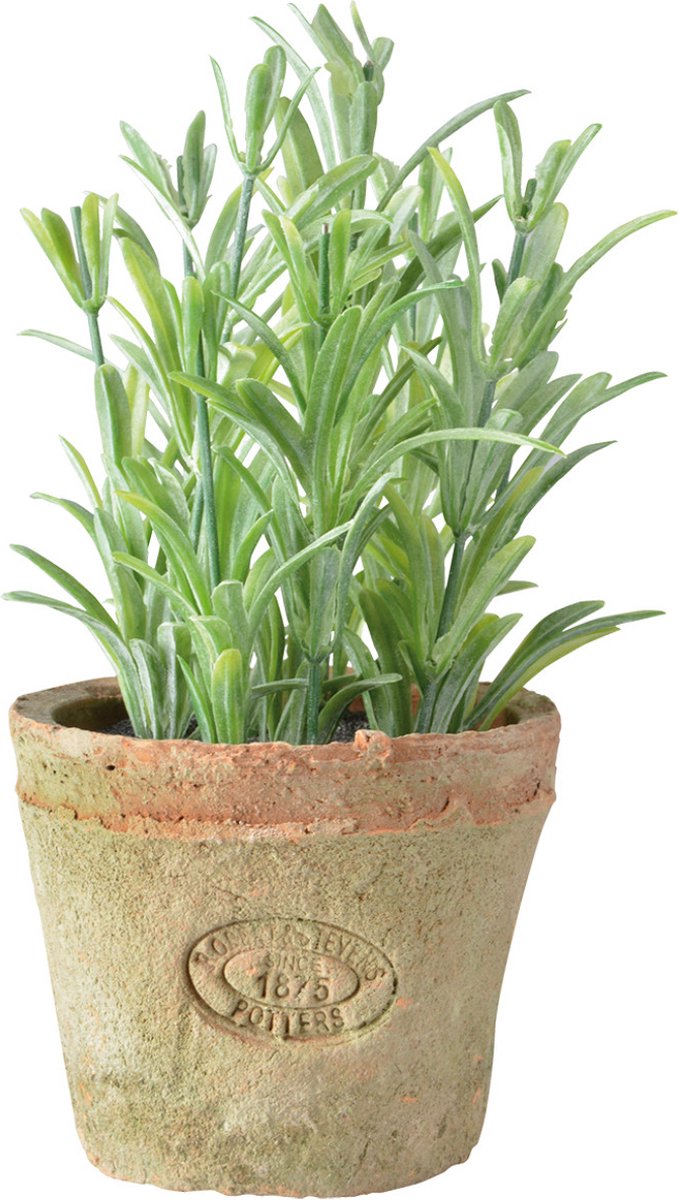 Esschert Design - Kunstplant Rozemarijn in Terracotta pot AH011