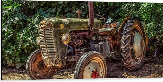 Dibond - Oude Verroeste Tractor bij Donkergroene Struik - 100x50 cm Foto op Aluminium (Met Ophangsysteem)