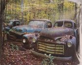 Diamond painting - Canvasdoek met voorbedrukte afbeelding - 40x50 - oude auto's in het bos