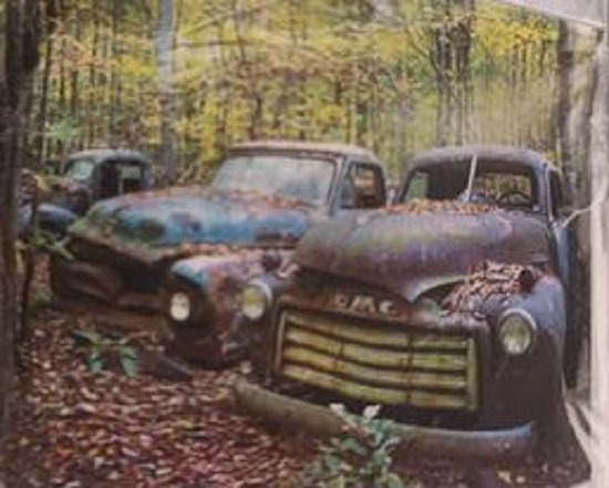 Peinture au Diamond - Canvasdoek avec image pré-imprimée - 40x50 - voitures anciennes dans la forêt