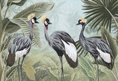 Fotobehang - Vinyl Behang - Kraanvogels tussen de Planten en Bladeren in de Jungle - 416 x 254 cm