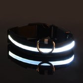 Vitalify® Glow-in-the-dark halsband voor kleine middelgrote honden, led-halsband voor nachtwandelingen