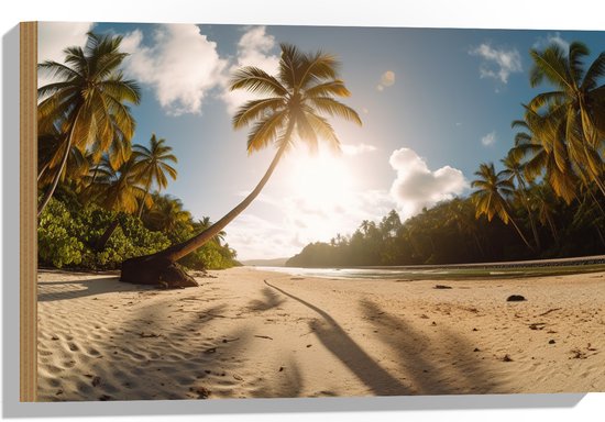Hout - Palmbomen in het Zonlicht hangend over het Strand - 60x40 cm - 9 mm dik - Foto op Hout (Met Ophangsysteem)