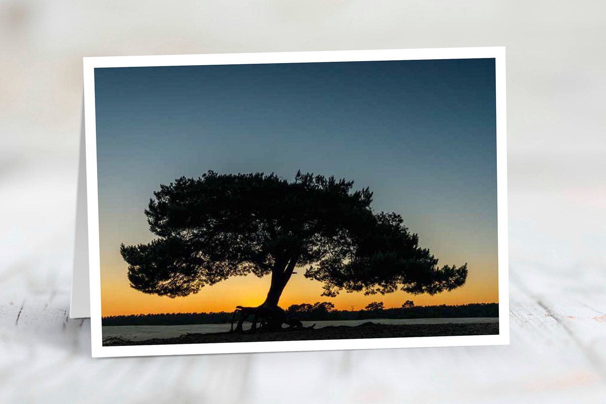 Wenskaart Utrechtse Heuvelrug - set van 3 stuks - Vliegden bij zonsondergang in de Soesterduinen- natuur - gevouwen kaart - 17,5 x 12,5 cm - incl. envelop