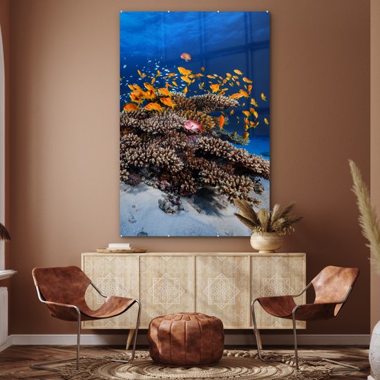 Peinture sur verre - Corail - Poissons - Animaux aquatiques - Oranje - Photo sur verre - Décoration murale - 100x150 cm - Peinture sur verre