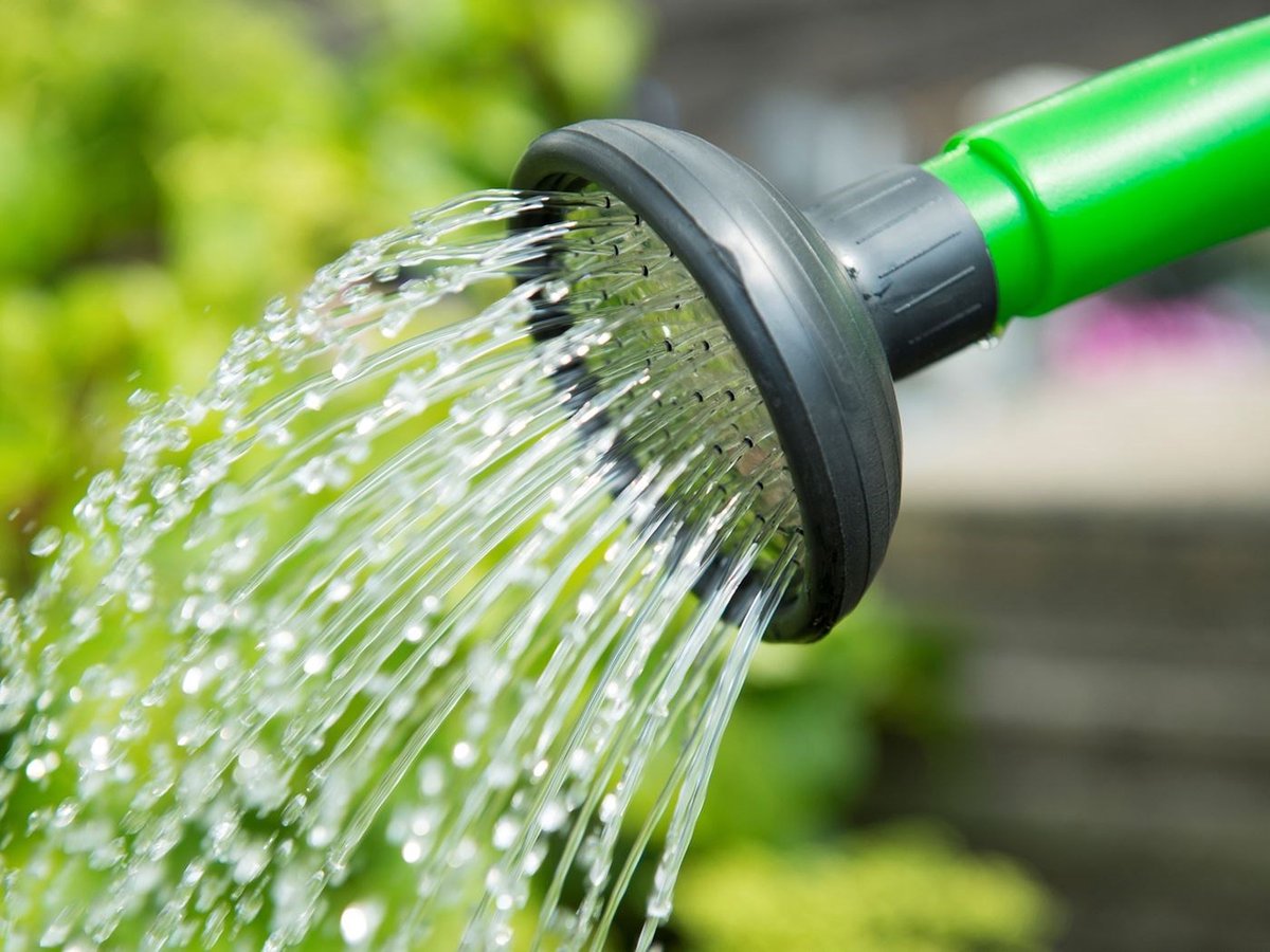 Sproeikop/broes verchroomd zwart voor gieter 5 l, 10 l en 12 l Ø85mm