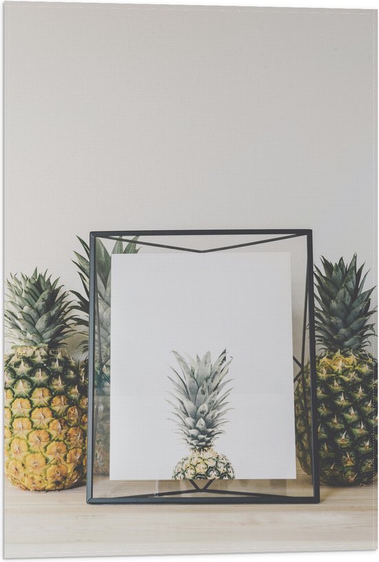 Vlag - Lijst met Ananas en Ananassen ernaast - 40x60 cm Foto op Polyester Vlag