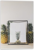 Acrylglas - Lijst met Ananas en Ananassen ernaast - 40x60 cm Foto op Acrylglas (Wanddecoratie op Acrylaat)