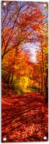 Tuinposter – Bospad Bedolven onder Rode Herfstbladeren in Herfstbos - 30x90 cm Foto op Tuinposter (wanddecoratie voor buiten en binnen)