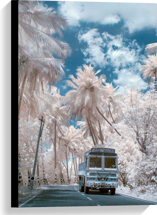 Canvas - Wit Busje Rijdend tussen de Witte Palmbomen onder Schapenwolken - 40x60 cm Foto op Canvas Schilderij (Wanddecoratie op Canvas)