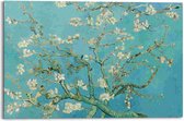 Schilderij Van Gogh Amandelbloesem 60x90 cm
