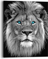 Schilderij Leeuw met blauwe ogen 50x40 cm