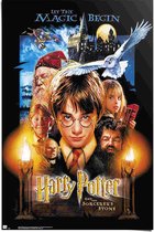 Poster Harry Potter 91,5x61 cm