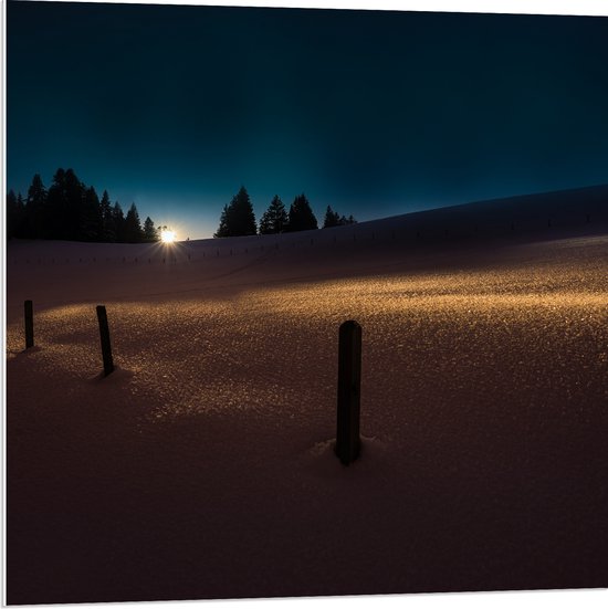 PVC Schuimplaat - Landschap - Sneeuw - Paaltjes - Bomen - Zonsondergang - 80x80 cm Foto op PVC Schuimplaat (Met Ophangsysteem)