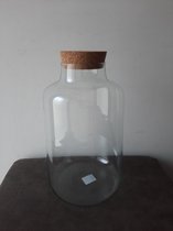 Eco vaas 'Sahari' - Terrarium glas lange sierlijke vorm met kurken dop - H30 cm D18,5 cm