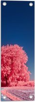 Tuinposter – Landschap - Boom - Weg - Planten - Zand - Roze - 20x60 cm Foto op Tuinposter (wanddecoratie voor buiten en binnen)