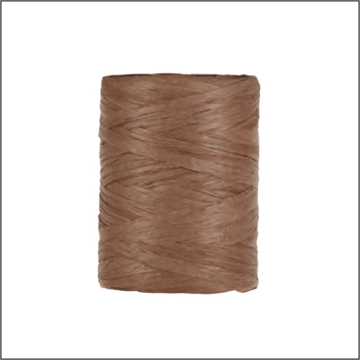 Luxe Cadeaulint - Raffia Lint - Paper Lint - Brown - 100 meter - 5mm - Hobbylint - Versierlint - Papier