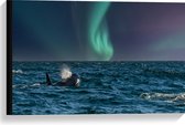 Canvas - Noorderlicht boven Orka in de Zee - 60x40 cm Foto op Canvas Schilderij (Wanddecoratie op Canvas)