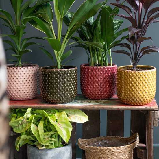 Ter Steege Plantenpot/bloempot Luxery Spike - 2x - keramiek - groen ...