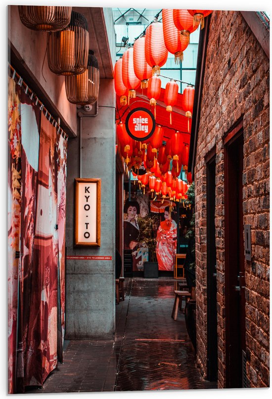 Acrylglas - Smalle Straat Versierd met Rode Lampionnen in Tokyo - 50x75 cm Foto op Acrylglas (Met Ophangsysteem)