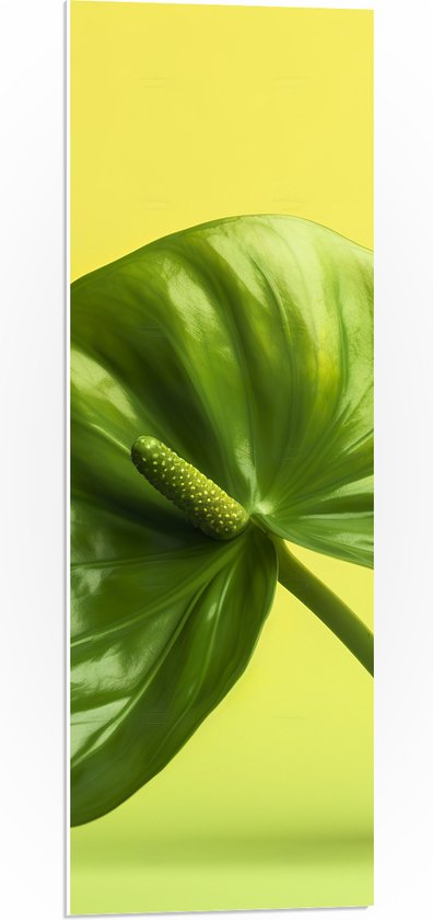 PVC Schuimplaat- Donkergroene Anthurium Plant tegen Lichtgroene Achtergrond - 30x90 cm Foto op PVC Schuimplaat