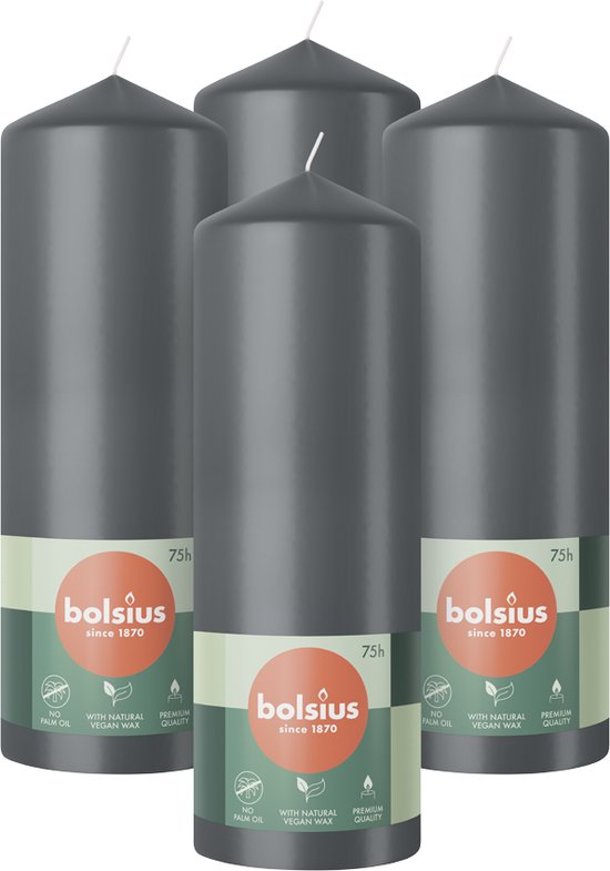 Bolsius - Gladde Stompkaarsen - 20cm - 4 stuks - Antraciet