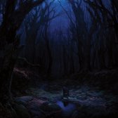 Woods Of Desolation - Torn Beyond Reason (LP)