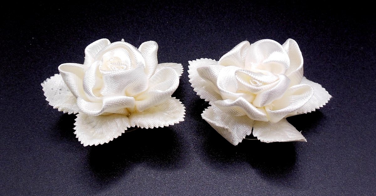 Curlies bloem cremekleur met getande bladeren - Communie
