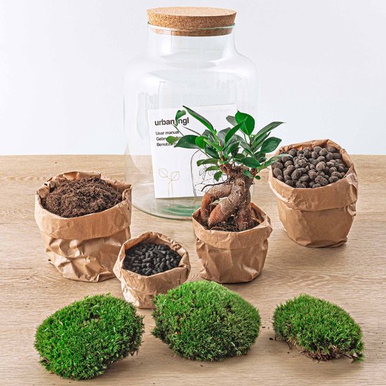 Cikonielf Glazen terrarium unieke geometrische vetplanten, plantenbak