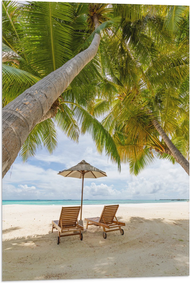Vlag - Schuingroeiende Palmboom boven Ligbedden en Parasol op het Strand - 50x75 cm Foto o