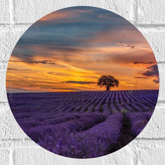 Muursticker Cirkel - Landschap - Bloemen - Planten - Boom - Lavendel - Zonsondergnag - Paars - 30x30 cm Foto op Muursticker