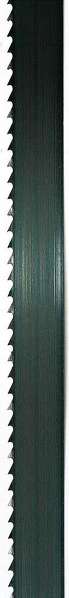 SCHEPPACH LINTZAAGBLAD 6X0,65X2895MM - 6TPI - GESCHIKT VOOR RVS