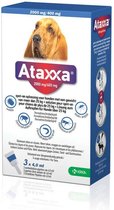 Ataxxa Spot On Hond 25 tot 40kg | 3 pipetten + 1 pipet gratis