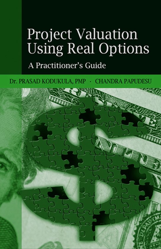 Project Valuation Using Real Options - cover
