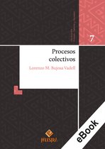 Proceso, Derecho y Sociedad 7 - Procesos colectivos