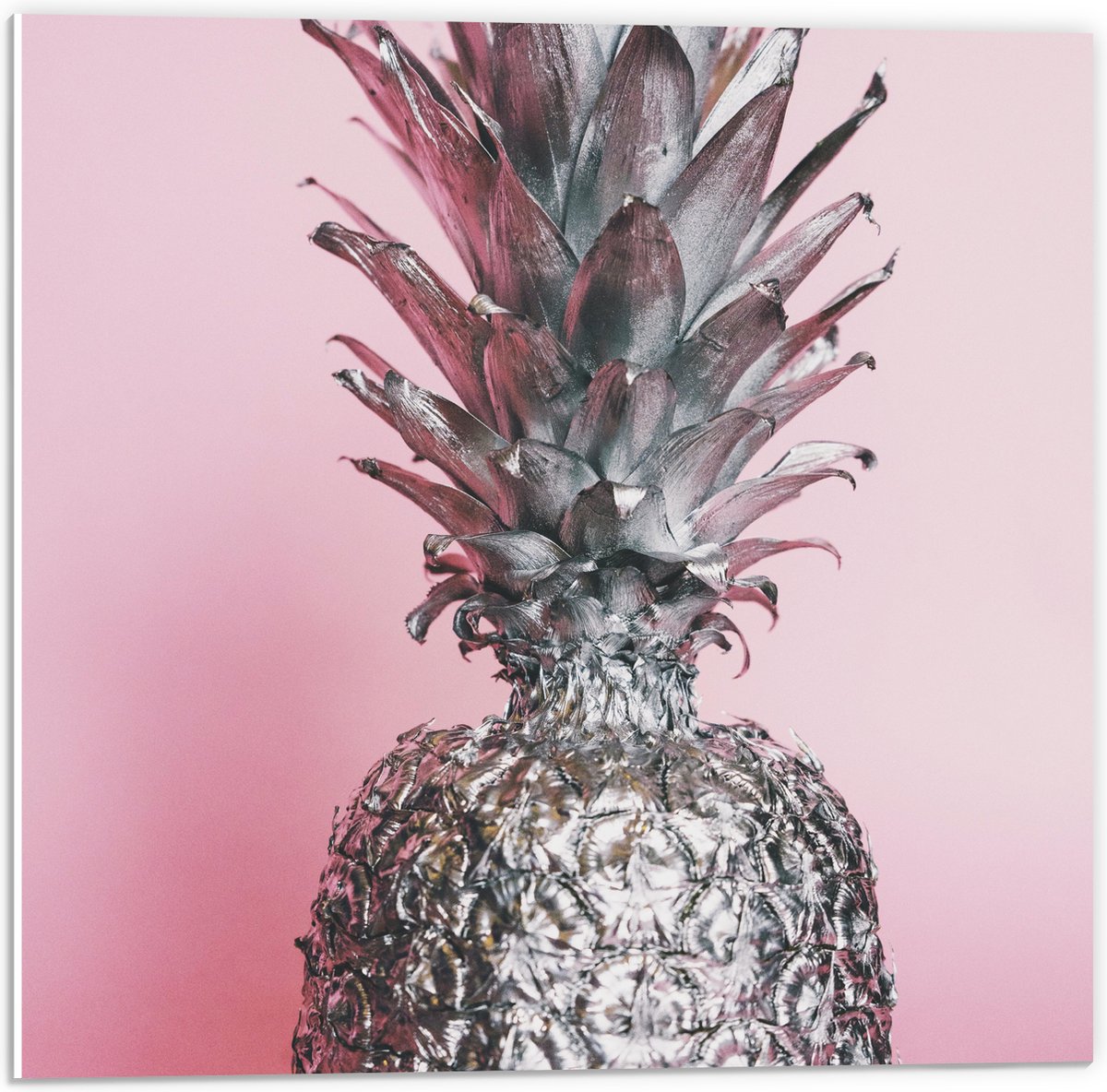 PVC Schuimplaat- Zilveren Ananas met Roze Achtergrond - 50x50 cm Foto op PVC Schuimplaat