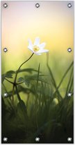 Tuinposter Witte Bloem 100x200cm- Foto op Tuinposter (wanddecoratie voor binnen en buiten)