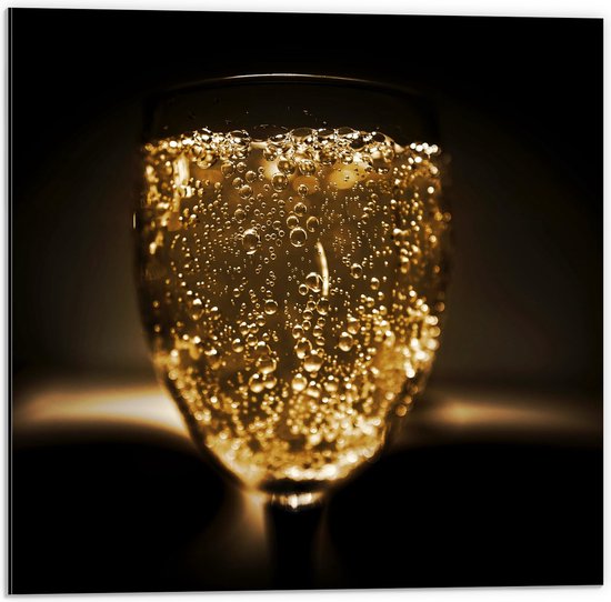 Dibond - Vol Wijnglas Gevuld met Bubbels - 50x50 cm Foto op Aluminium (Met Ophangsysteem)