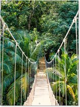 Muurdecoratie buiten Jungle - Palmboom - Brug - Natuur - Planten - 120x160 cm - Tuindoek - Buitenposter