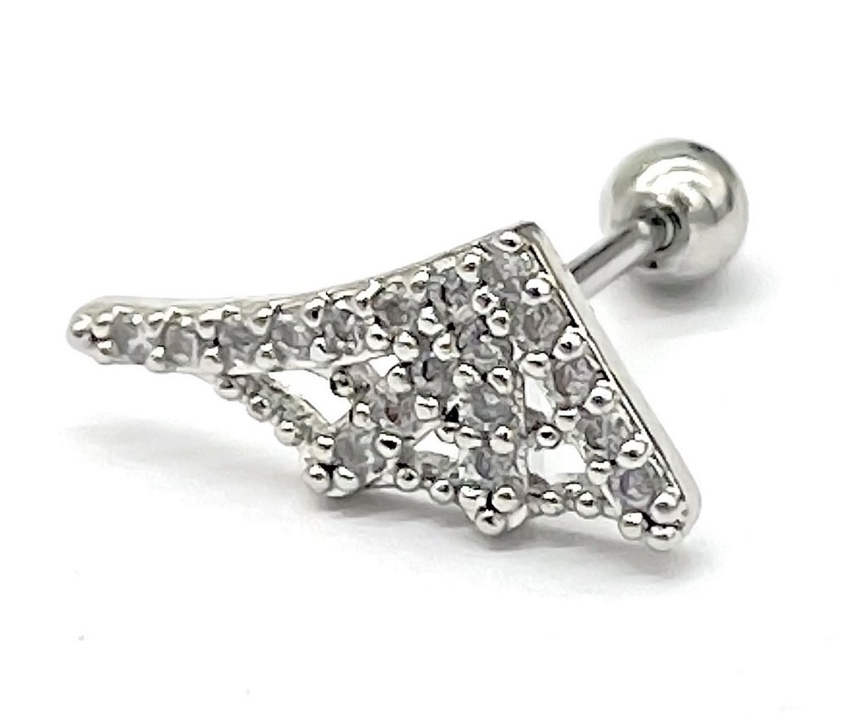 Oorpiercing met Zirkonia - RVS - 8 mm - Zilverkleurig