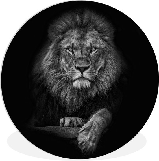 WallCircle - Wandcirkel - Leeuw - Dieren - Zwart wit - Rond schilderij - Muurcirkel binnen - Wanddecoratie rond - Kamer decoratie - Muurdecoratie cirkel - Woonkamer - 30x30 cm - Ronde schilderijen - Slaapkamer - Wandcirkels