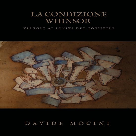La condizione Whinsor (viaggio ai limiti del possibile) - cover