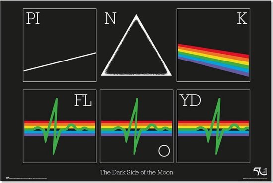 Pink Floyd poster - Rockband - Roger Waters - The Dark Side of the Moon - Gitaar - 61 x 91.5 cm