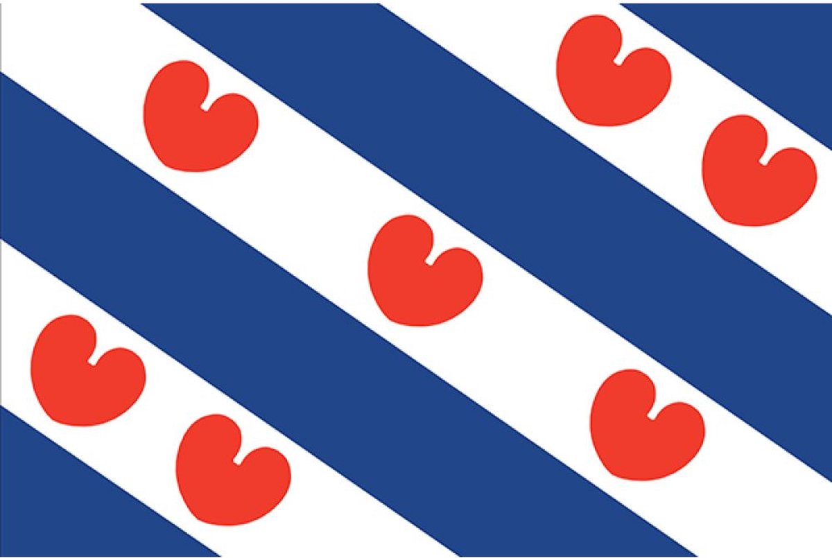 Friese Vlag 100x150cm