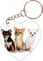 Sleutelhanger hartje 5x5cm - Chihuahuas verschillende Kleuren
