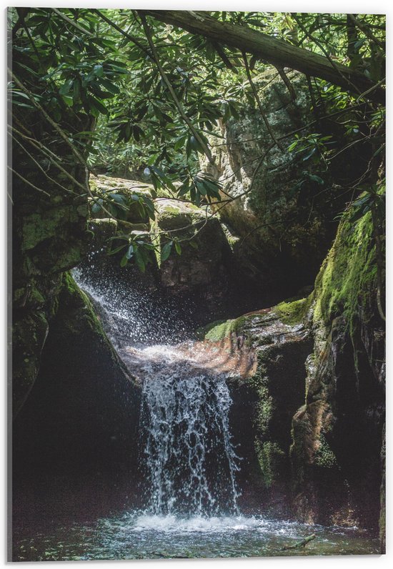 Acrylglas - Water - waterval - Spettrs - Druppels - Bomen - Stenen - Tropisch - 40x60 cm Foto op Acrylglas (Wanddecoratie op Acrylaat)