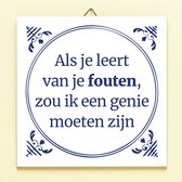 Ditverzinjeniet.nl Tegeltje Leren Van Je Fouten