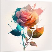 Acrylglas - Abstracte Roos van Verschillende Kleuren op Witte Achtergrond - 100x100 cm Foto op Acrylglas (Met Ophangsysteem)