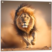 Tuinposter – Aanstormende Mannetjes Leeuw door het Afrikaanse Landschap - 80x80 cm Foto op Tuinposter (wanddecoratie voor buiten en binnen)